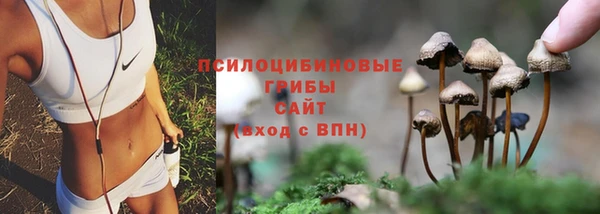 spice Вязьма