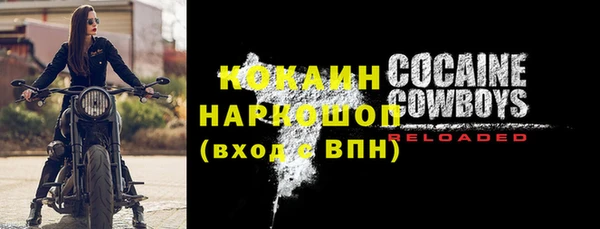 индика Вязники
