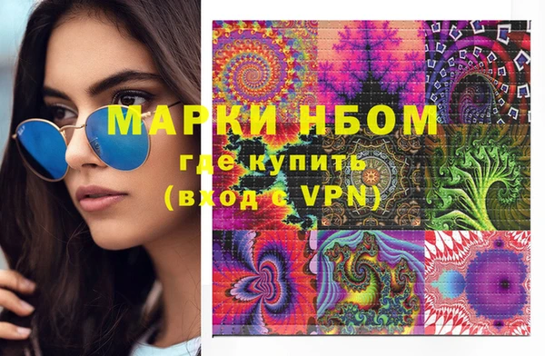 индика Вязники