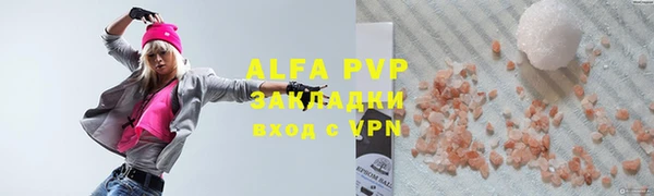 индика Вязники
